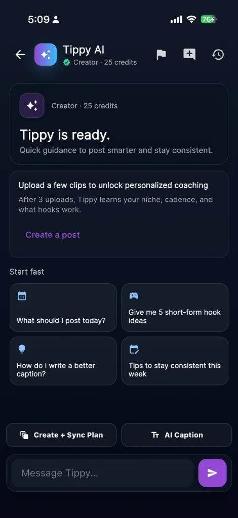 Tippy AI mobile app preview